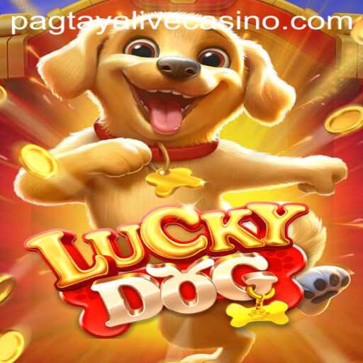 Exploring the Thrills and Strategies of LuckyDog: A Comprehensive Guide