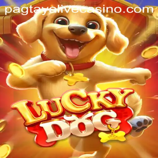 Exploring the Thrills and Strategies of LuckyDog: A Comprehensive Guide